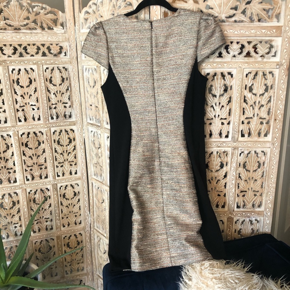 Anthropologie Moulinette Soeurs shimmer dress - Picture 6 of 6